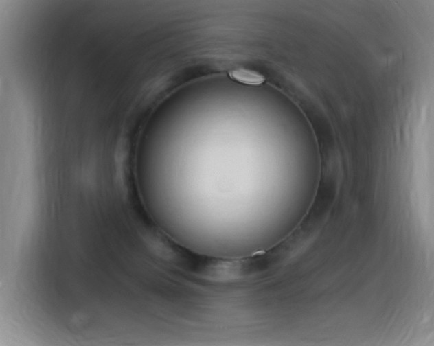 X0000116110084200911231154