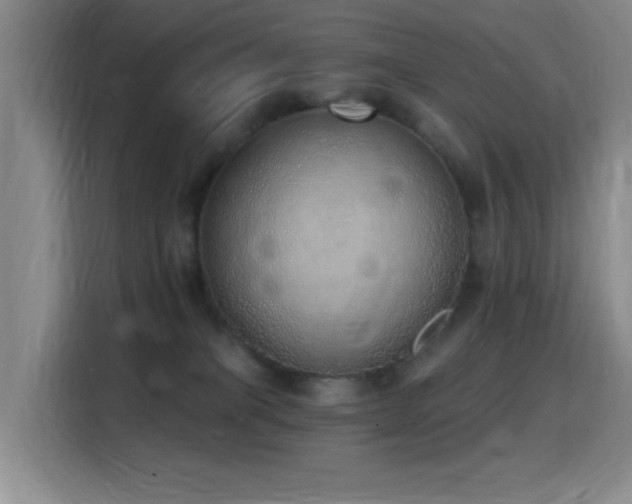 X0000116110085200911231154