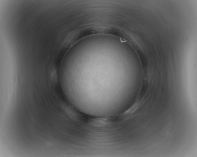 X0000116110086200911231154