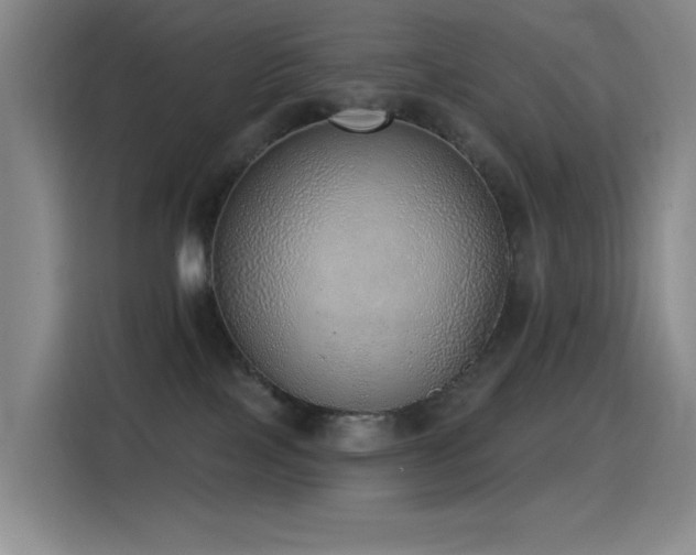 X0000116110089200911231154