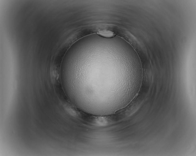 X0000116110091200911231154