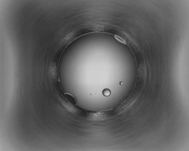 X0000116110092200911231154