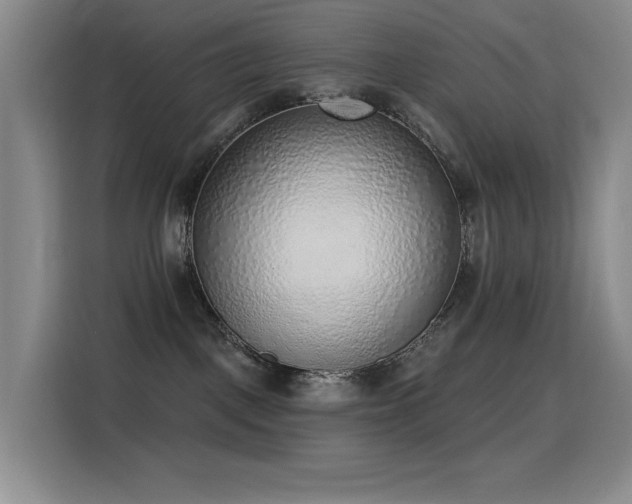 X0000116110093200911231154