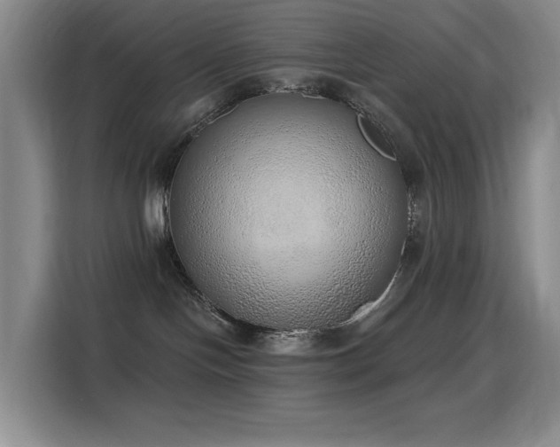 X0000116110094200911231154