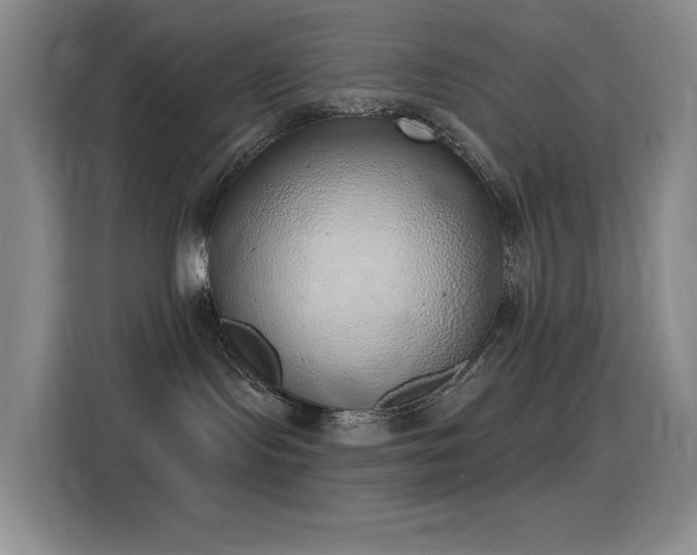 X0000116110095200911231154