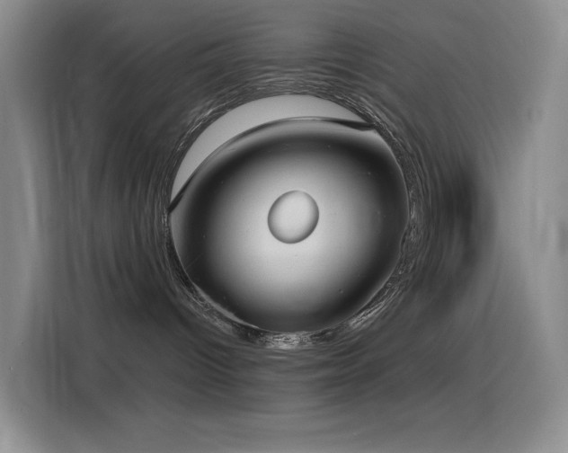 X0000116110096200911231154