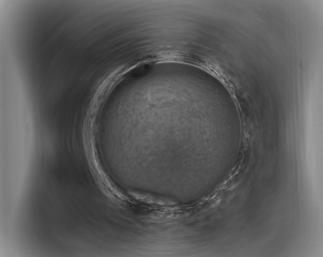 X0000116110097200911231153