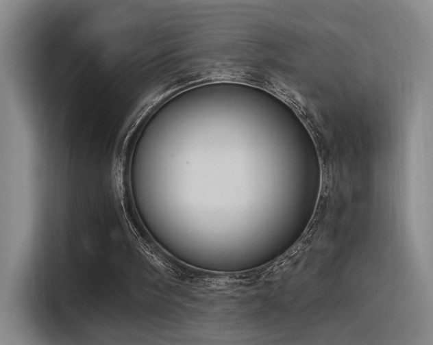 X0000116110098200911231153