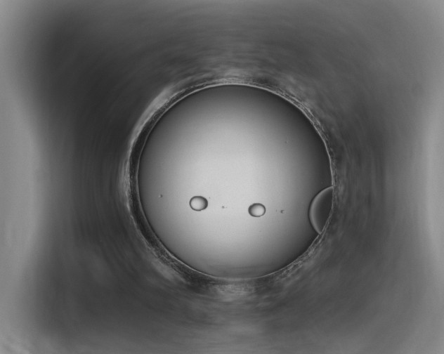 X0000116110102200911231153