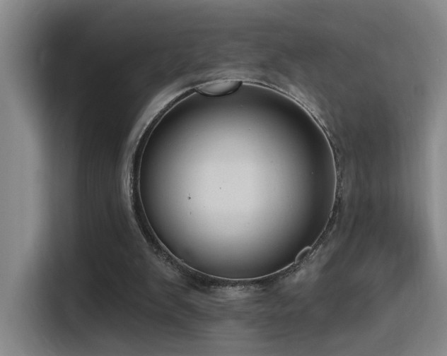 X0000116110103200911231153