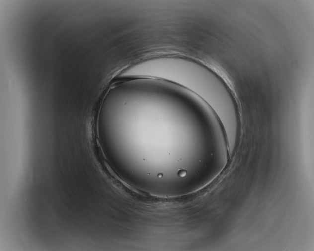 X0000116110105200911231153