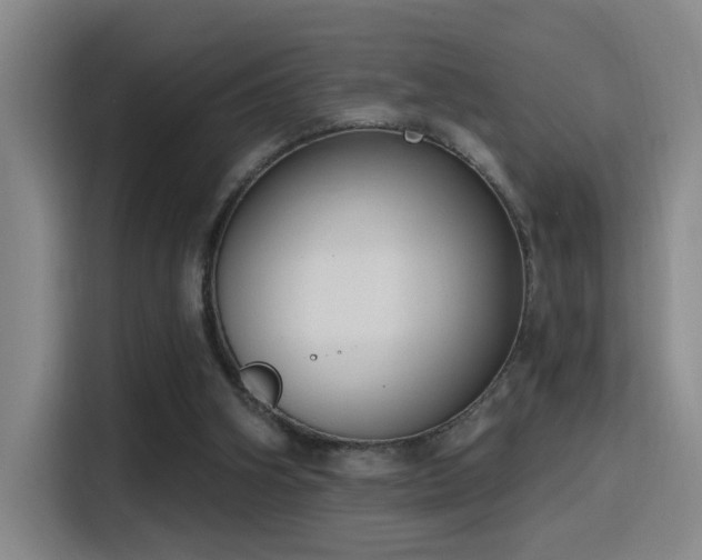 X0000116110106200911231153