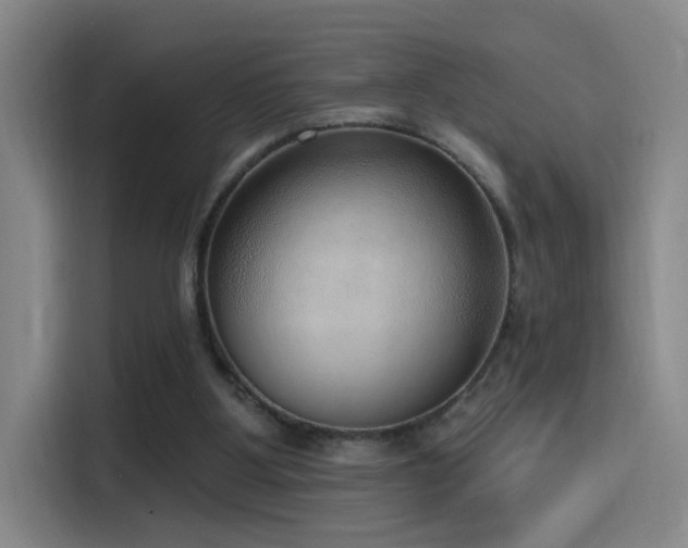 X0000116110107200911231153