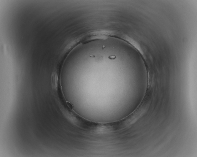 X0000116110109200911231153