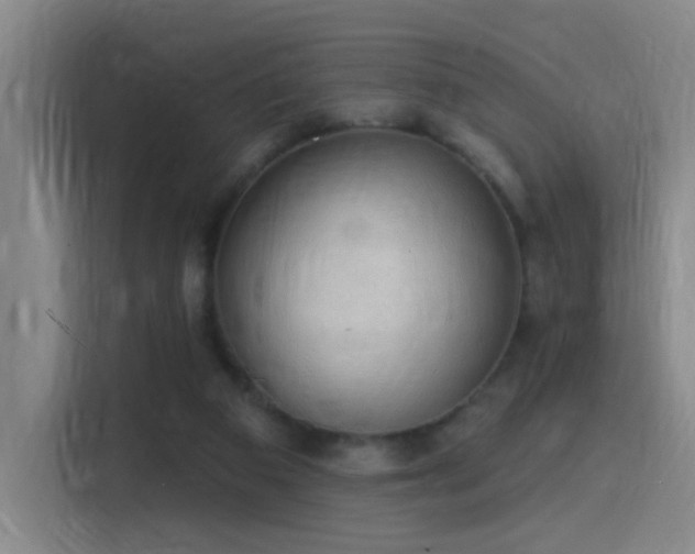 X0000116110113200911231153