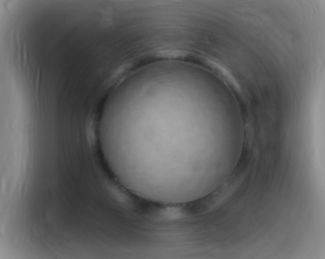 X0000116110114200911231153