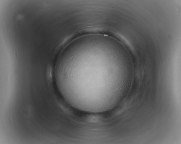 X0000116110115200911231153