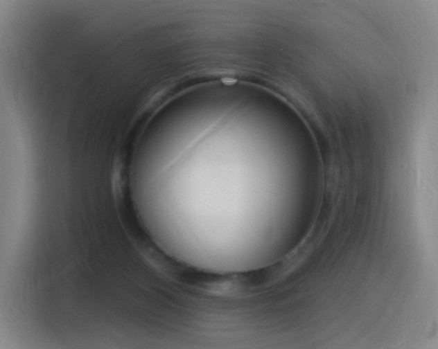 X0000116110116200911231153