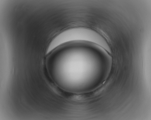 X0000116110117200911231153