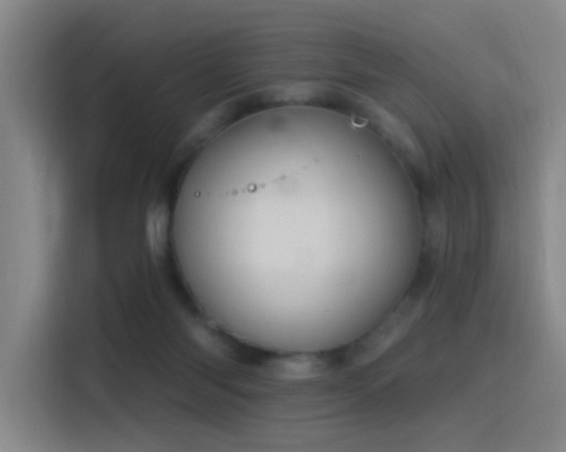 X0000116110118200911231153