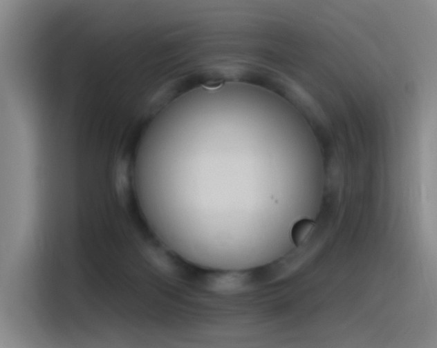 X0000116110122200911231153