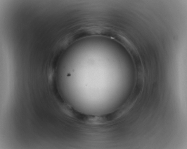 X0000116110125200911231153