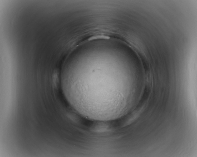 X0000116110127200911231153