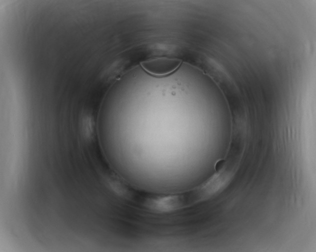 X0000116110130200911231153