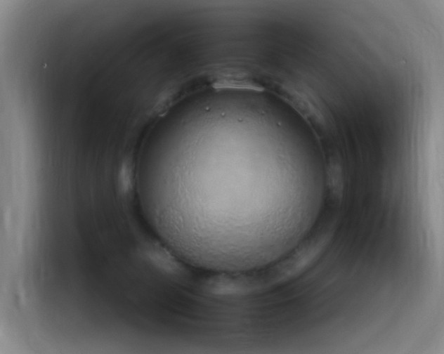 X0000116110131200911231153