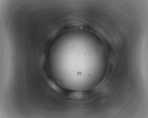 X0000116110132200911231153