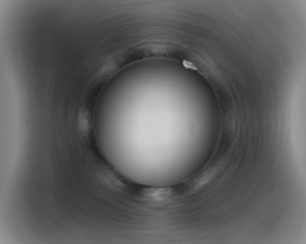 X0000116110135200911231153