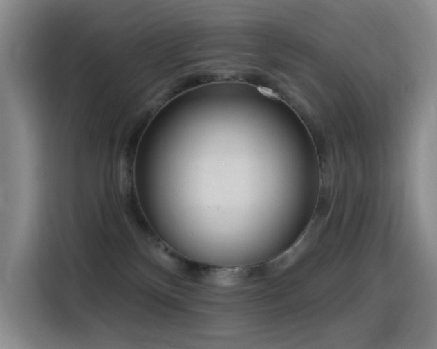 X0000116110136200911231153