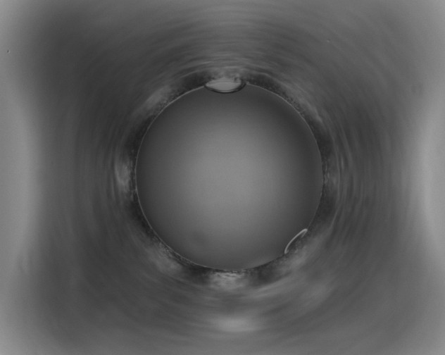 X0000116110139200911231153