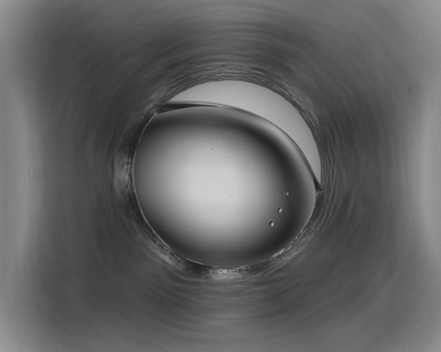 X0000116110141200911231153