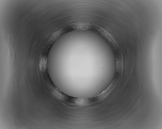 X0000116110142200911231153