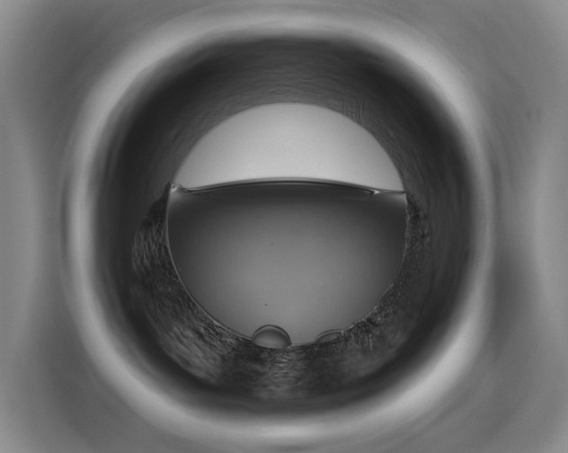 X0000116110143200911231153