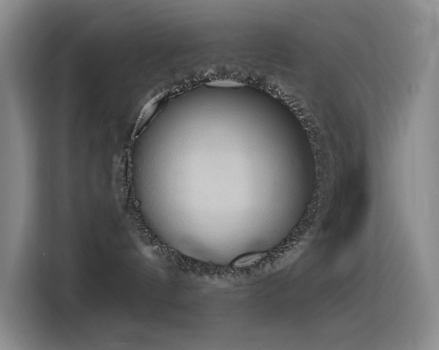 X0000116110144200911231153