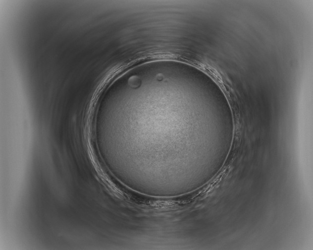 X0000116110145200911231152