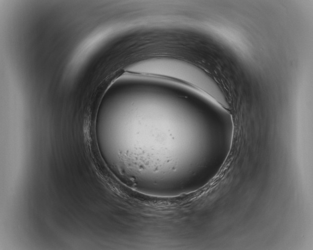 X0000116110146200911231152