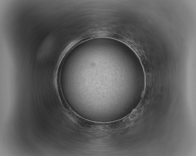 X0000116110147200911231152