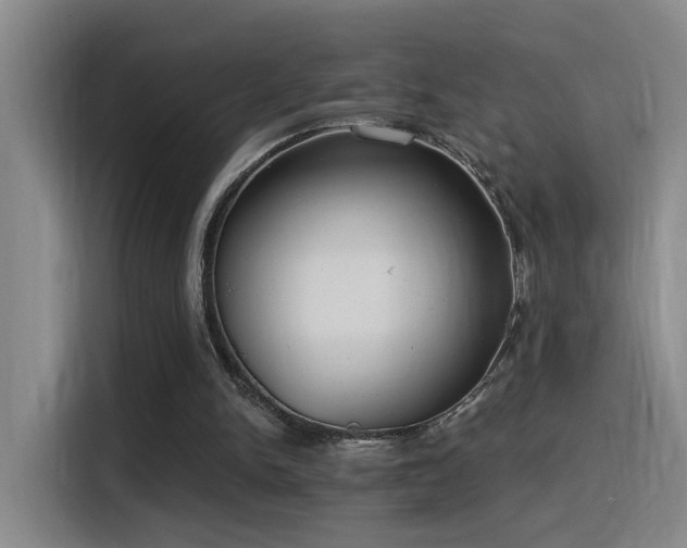 X0000116110150200911231152