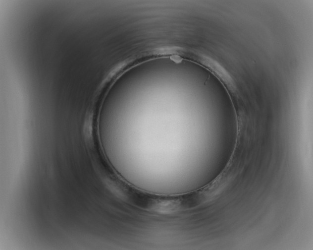 X0000116110155200911231152