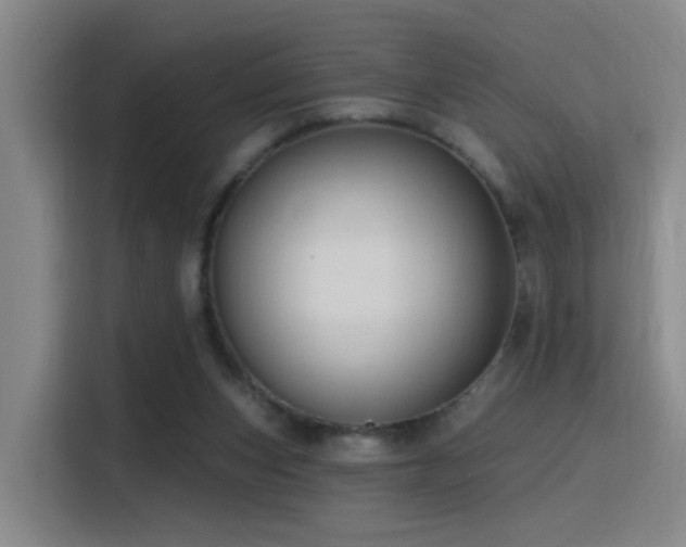 X0000116110159200911231152