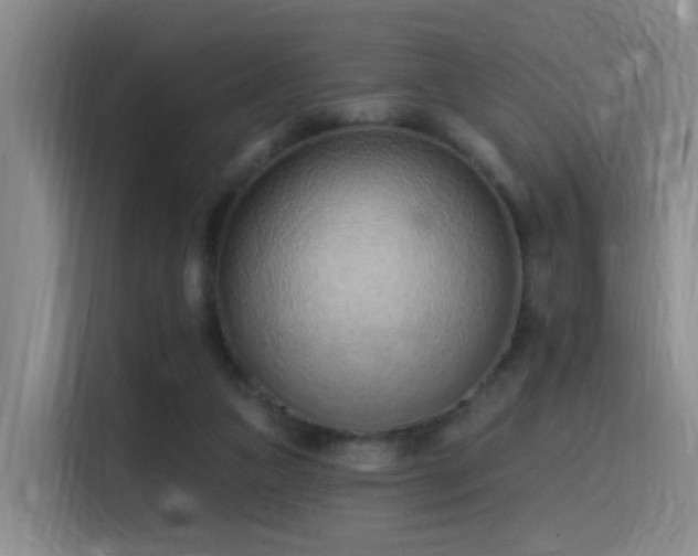 X0000116110161200911231152