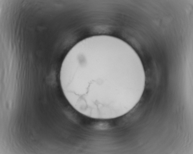 X0000116110162200911231152