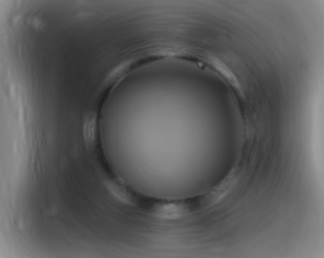 X0000116110163200911231152