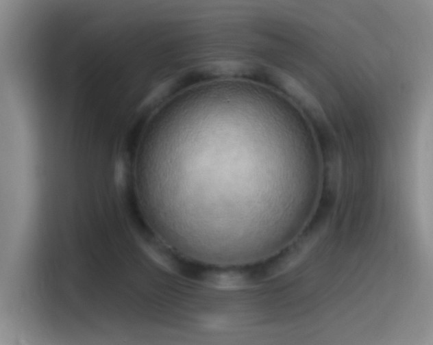 X0000116110165200911231152