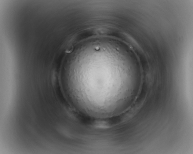 X0000116110169200911231152