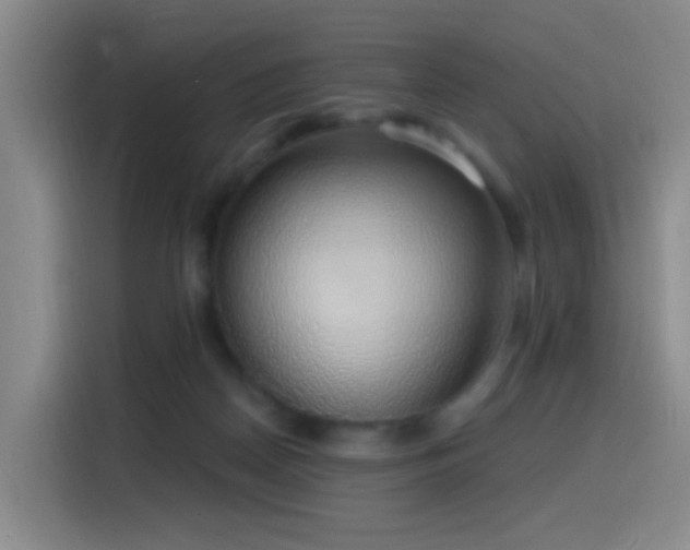 X0000116110170200911231152