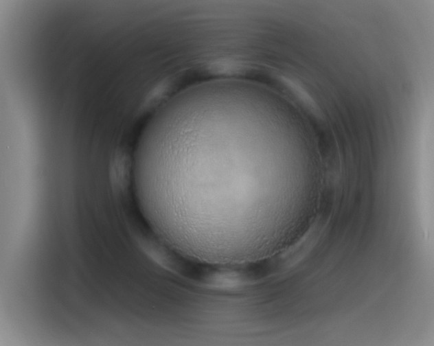 X0000116110171200911231153